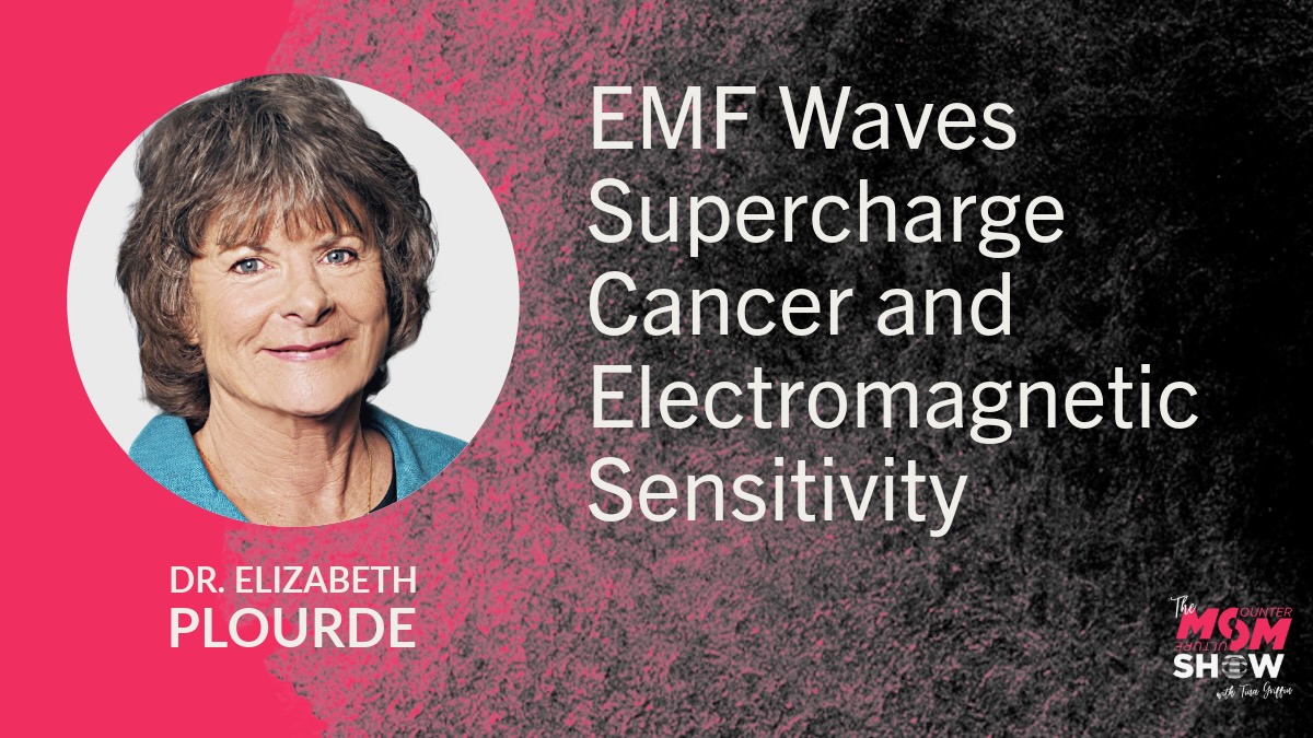 EMF Waves Supercharge Cancer and Electromagnetic Sensitivity - Dr. Elizabeth Plourde